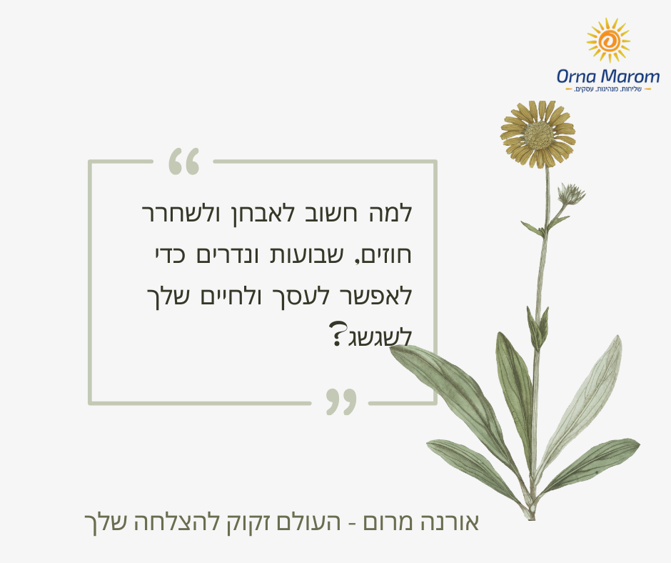 חוזים, שבועות ונדרים והשפעתם על העסק והחיים שלך